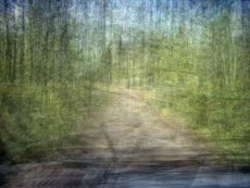 Margie´s Road, Vernocker Canyon, South Dakota