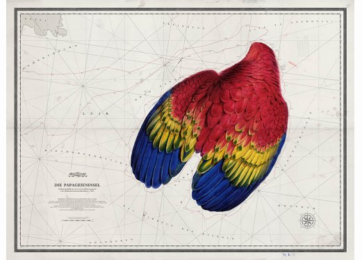 Die Papageieninsel