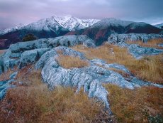 Cold Mountain