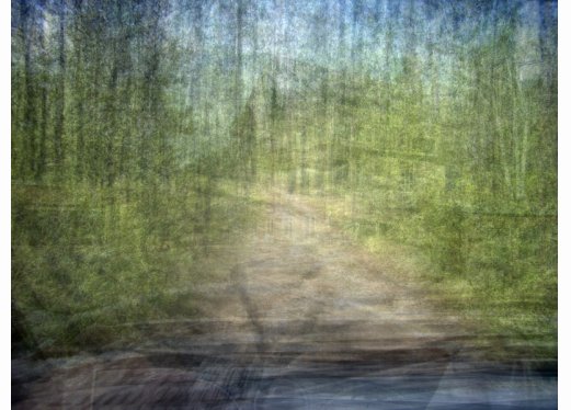 Margie´s Road, Vernocker Canyon, South Dakota