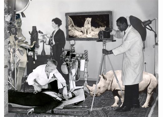 Family of Man Family of Man